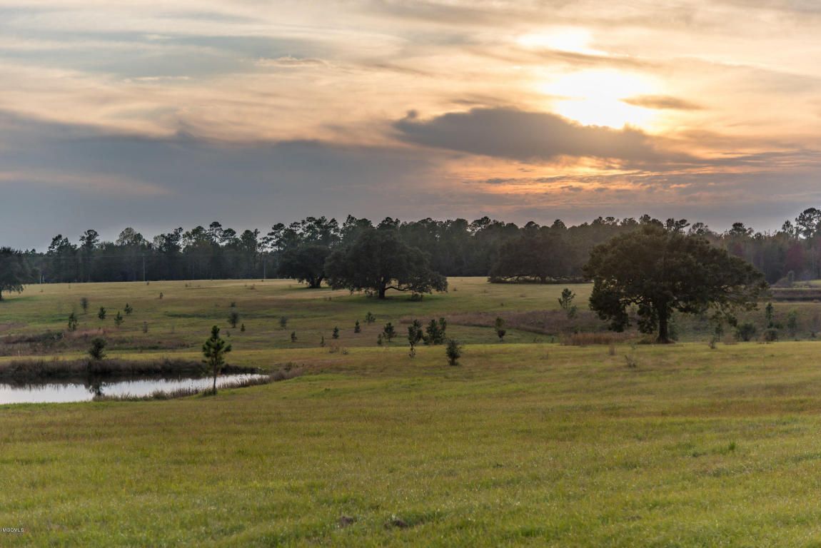 115 Acres, 13181 Alcede Lizana Rd, Gulfport, MS 39503 Land and Farm