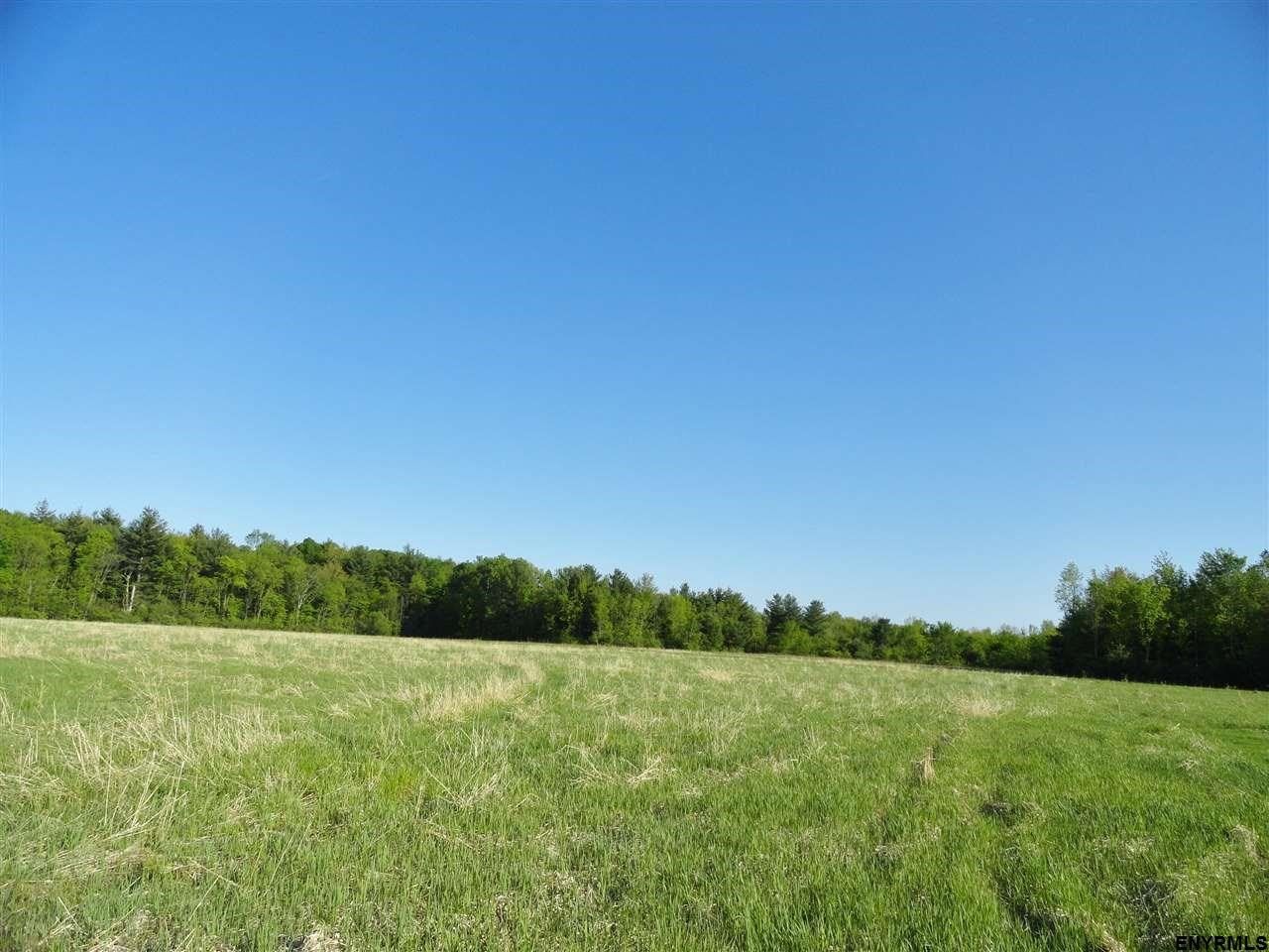 20 Acres, 125 COVEVILLE RD, Schuylerville, NY 12871 Land and Farm
