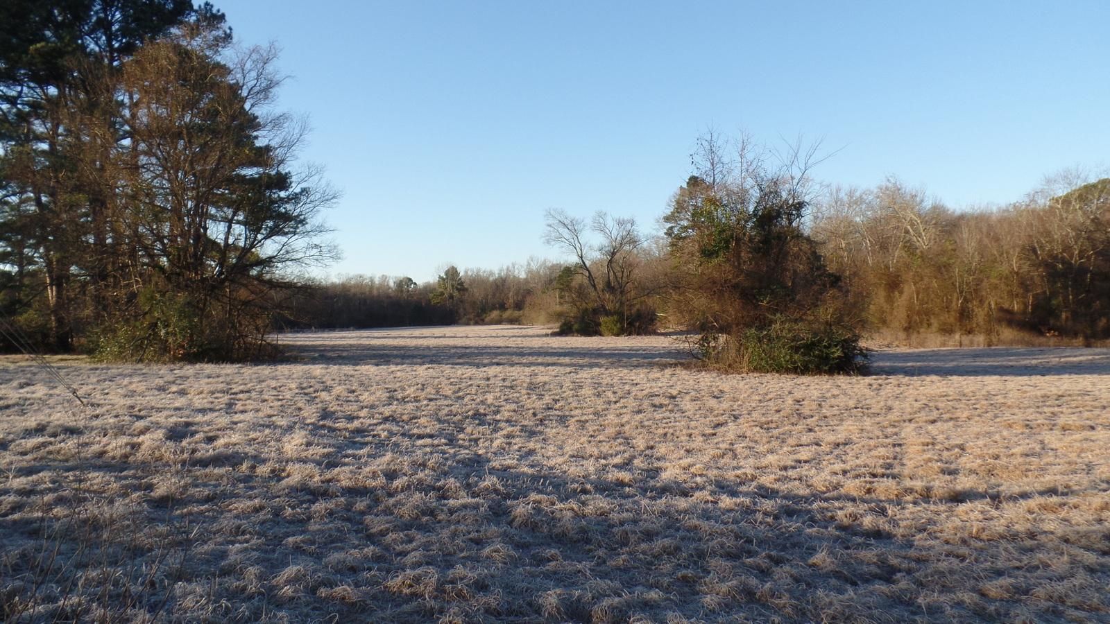 59.96 Acres, 0000 FM 1002, Big Sandy, TX 75755 Land and Farm