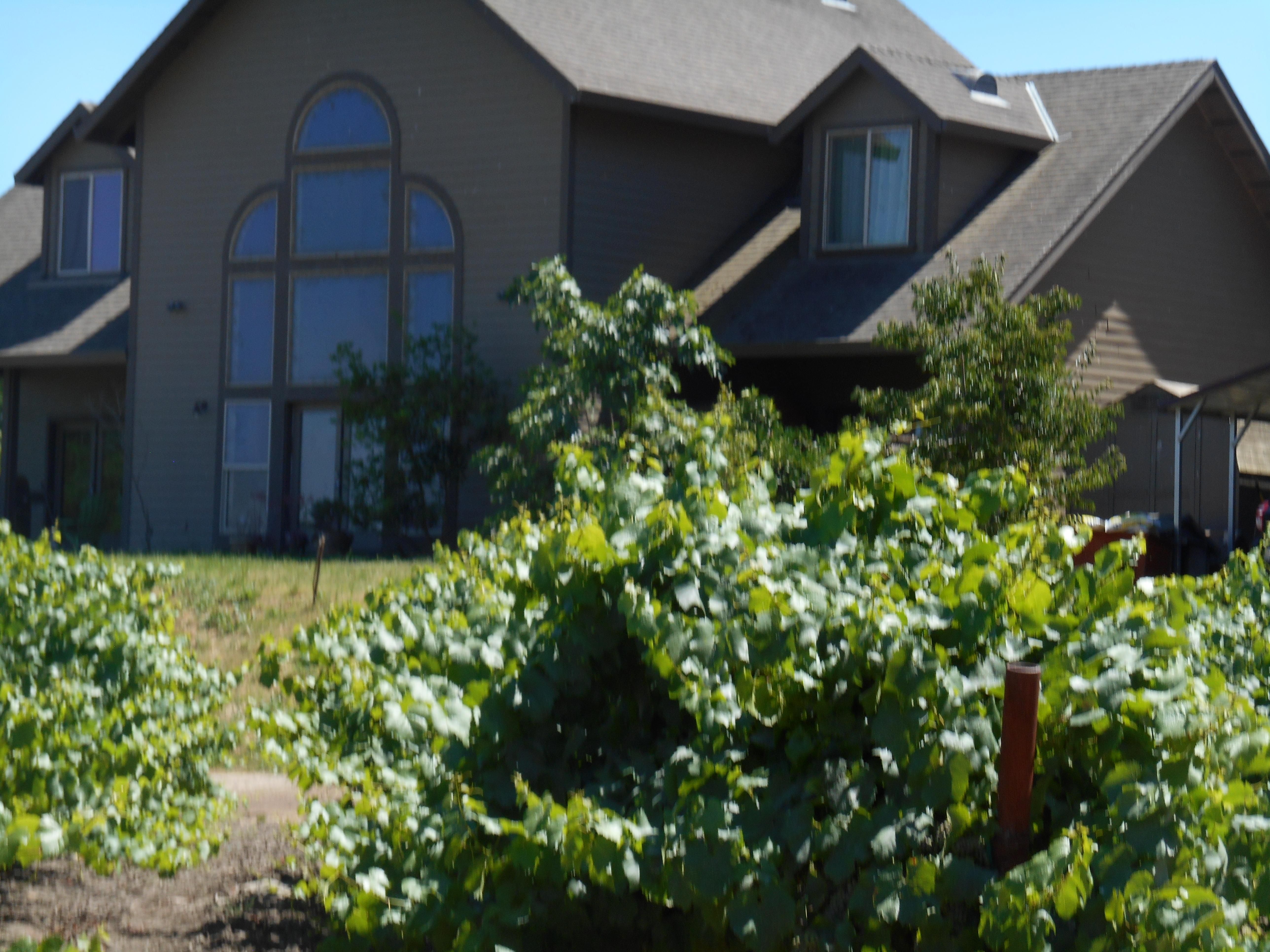 47.27 Acres, 3000330027 N Vail Rd, Thornton, CA 95686 Land and Farm