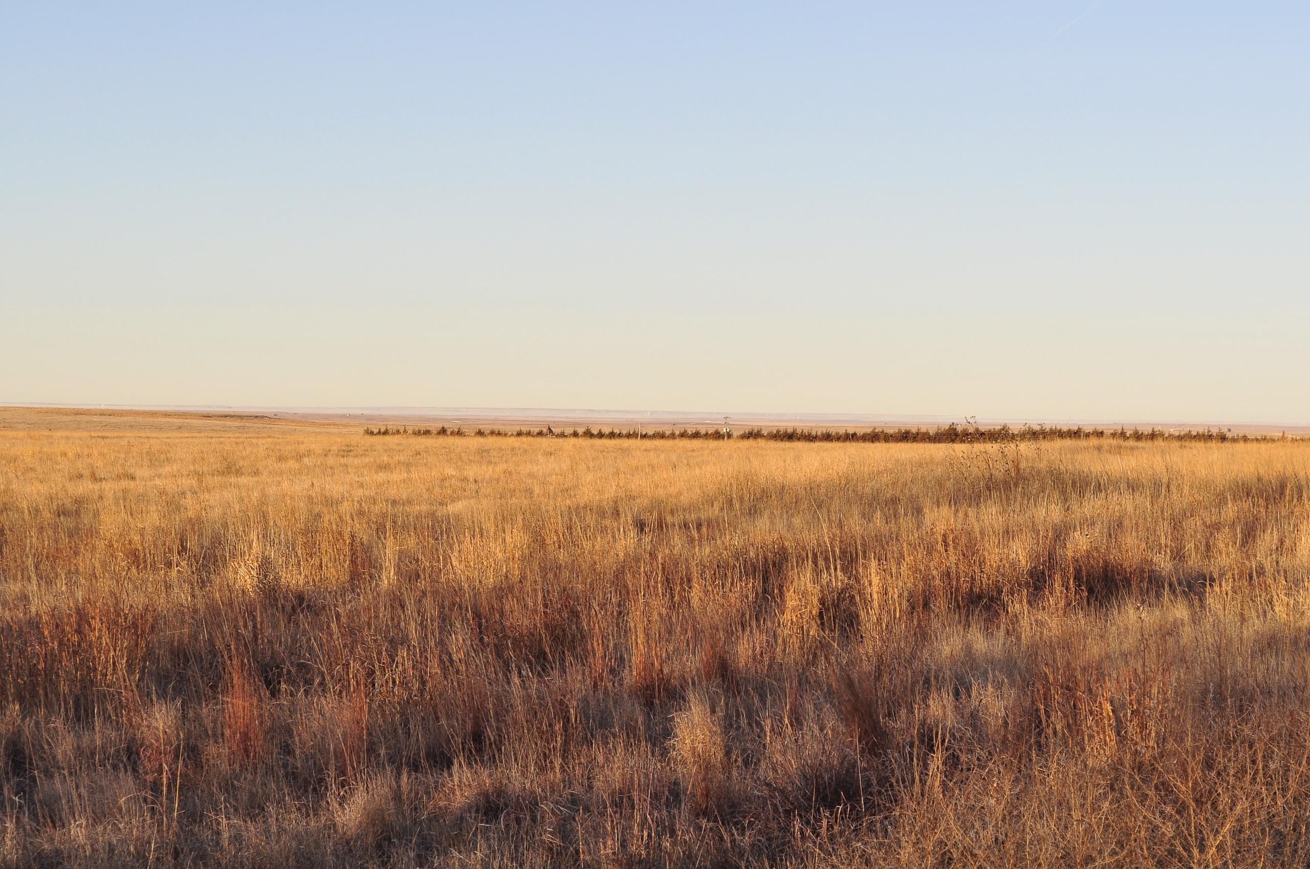240 Acres, W 220 Road, Ransom, KS 67572 Land and Farm
