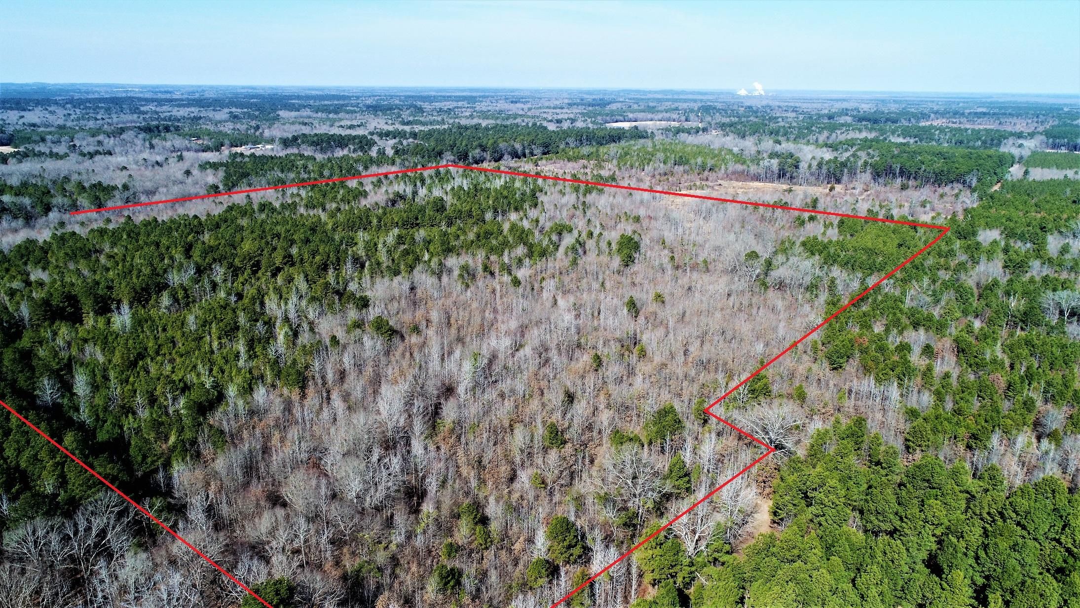 70.22 Acres, stateline road, Bradley, AR 71826 Land and Farm