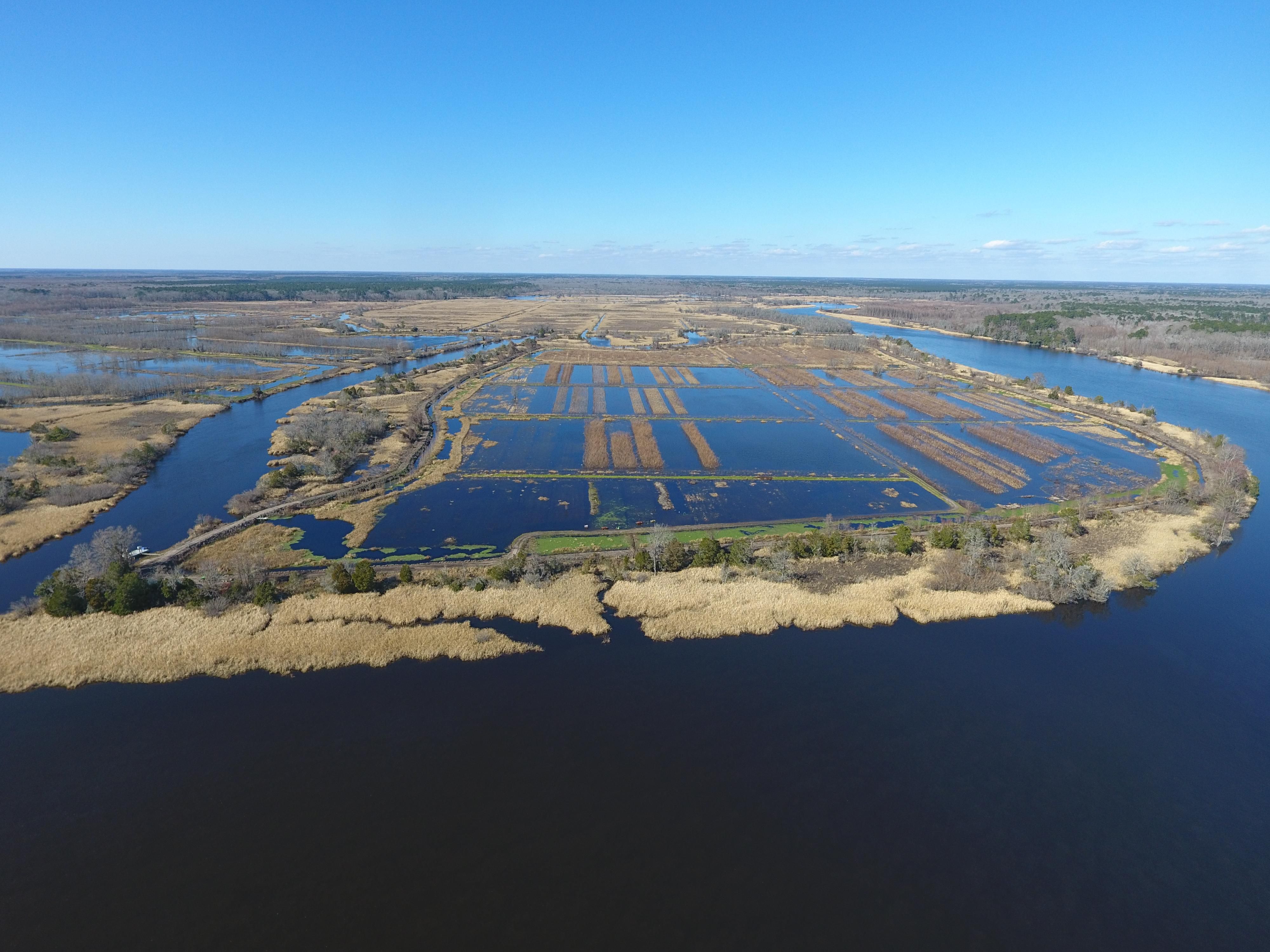 Parkers Ferry Road, Adams Run, SC 29426 Land and Farm