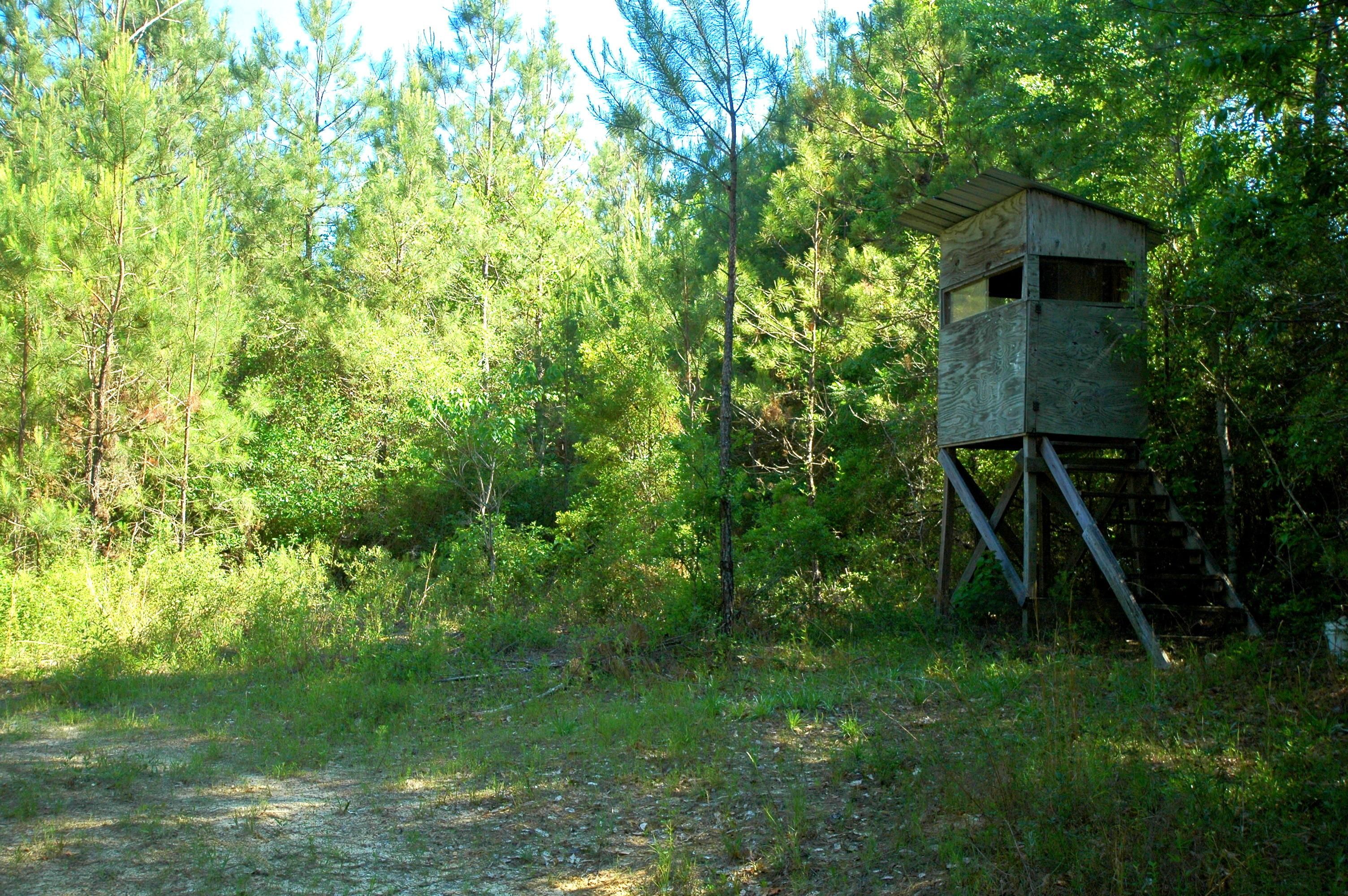 131 acres in Defuniak Springs, FL, 32435 Land and Farm