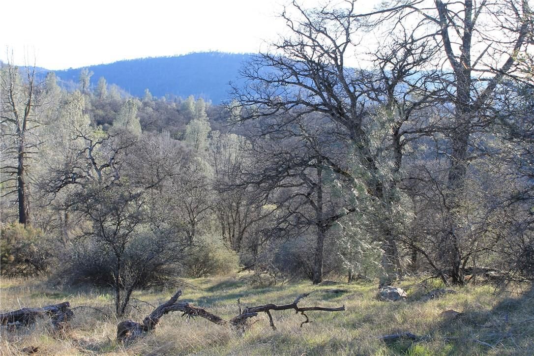 41 Acres, 6820 Rancheria Creek Road, Midpines, CA 95345 Land and Farm