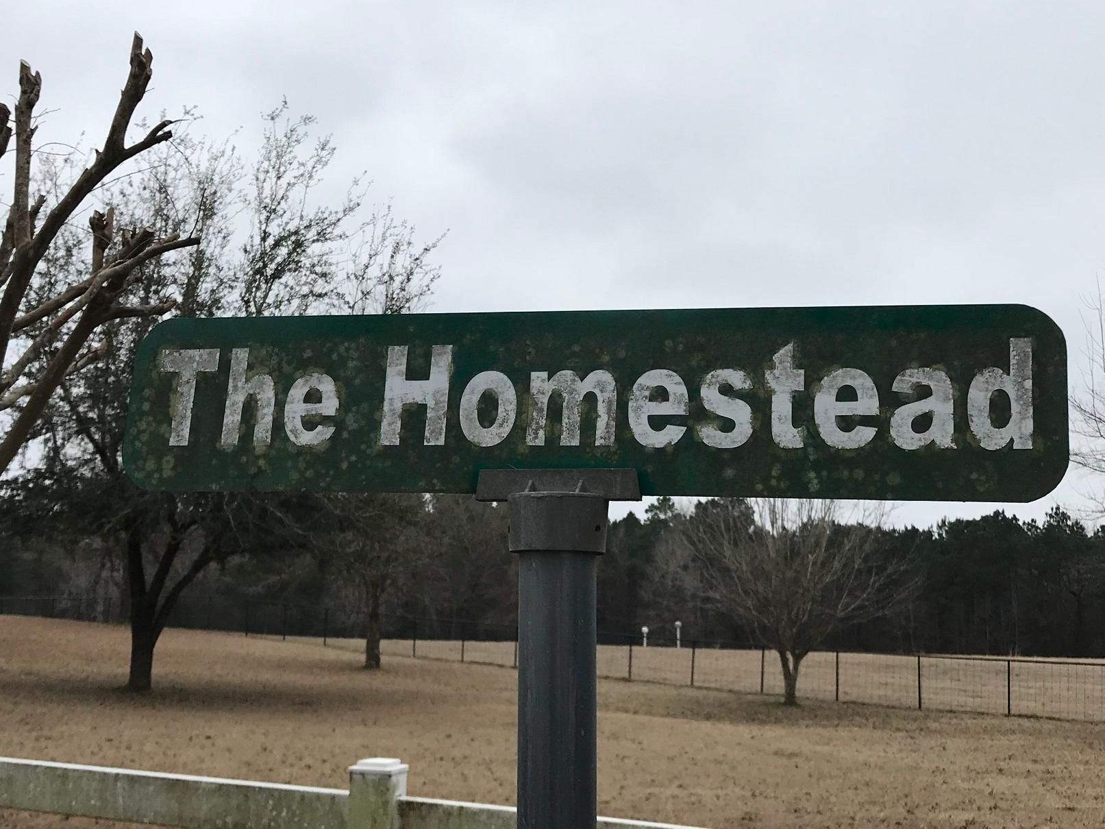 77.64 Acres, 368 County Road 4353, Tenaha, TX 75974 Land and Farm