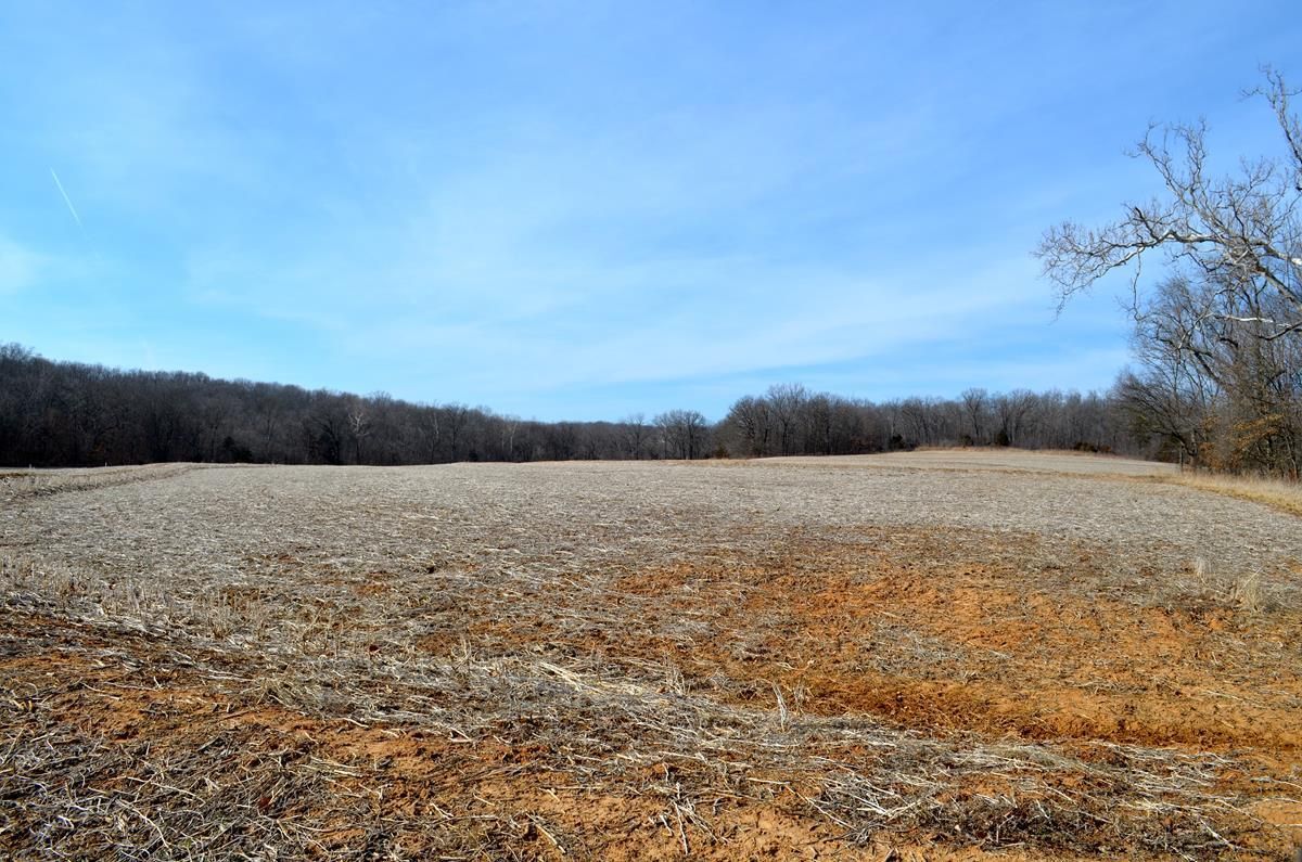3058 Pcr 819, Perryville, MO 63775 MLS 2402918040 Land and Farm