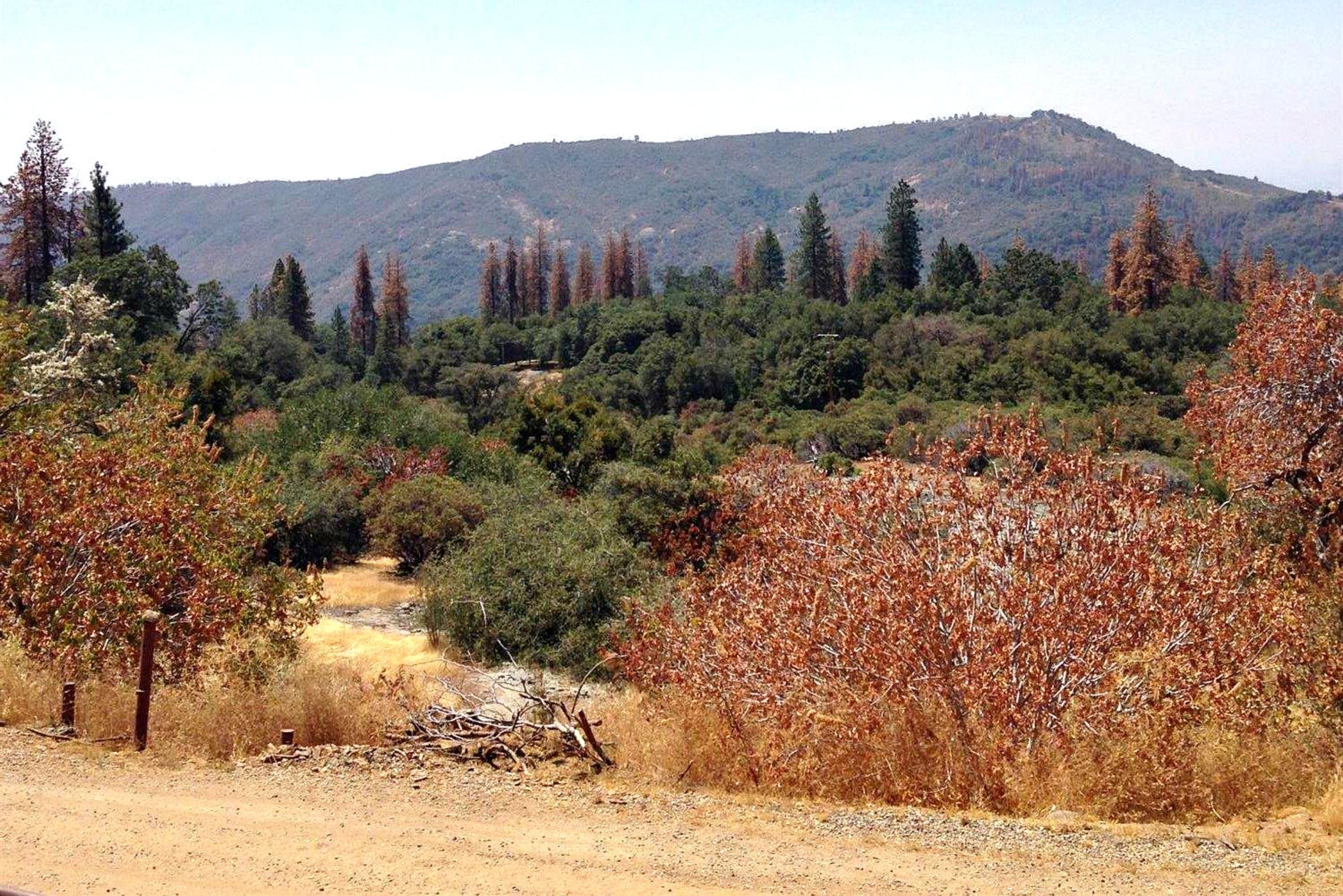 10 Acres, Rocky Springs Rd, Auberry, CA 93602 Land and Farm