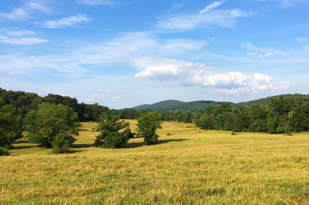 18234 Lovers Lane, Gordonsville, VA 22942 MLS 571908 Land and Farm