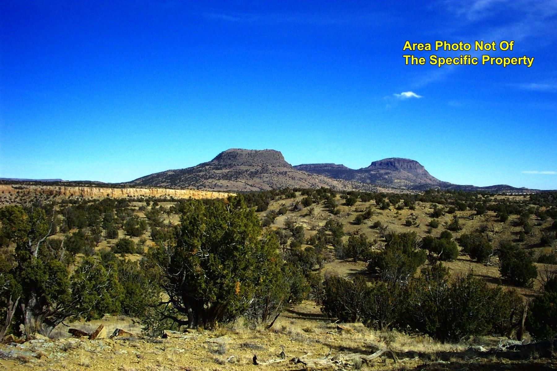 40 acres in Pie Town, NM, 88039 MLS 588 Land and Farm