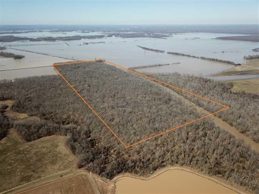 120 Acres, Alicia, AR 72410 Land and Farm