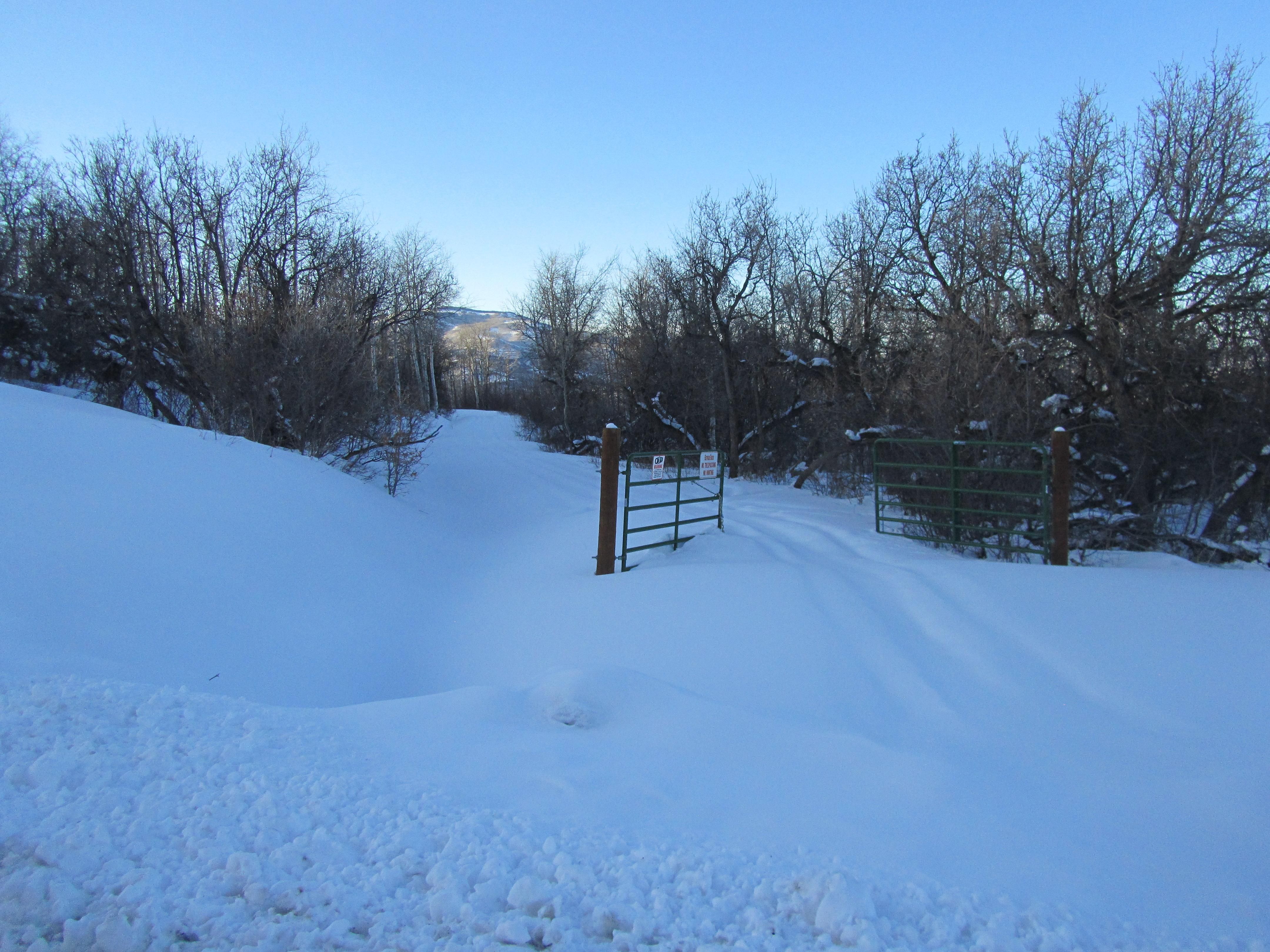 Tranquility Ranches 24, Collbran, CO 81624 MLS 0507118023 Land