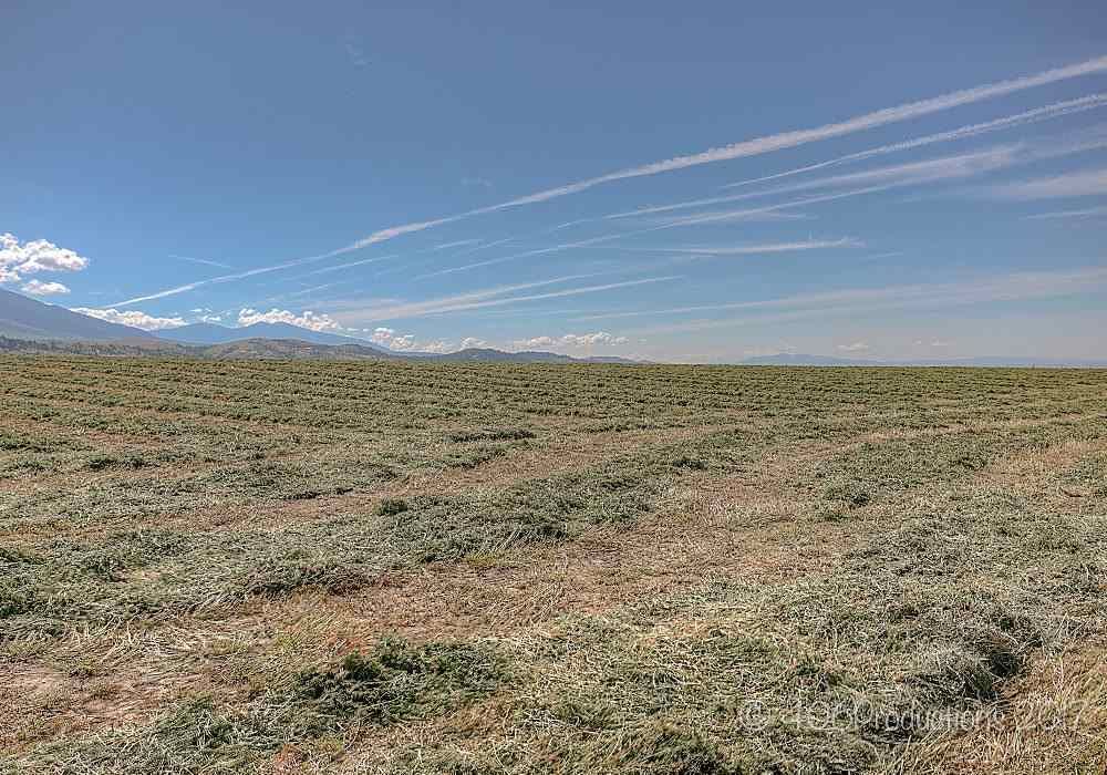 4,533 Acres, NHN Mt Hwy 284, Townsend, MT 59644 Land and Farm
