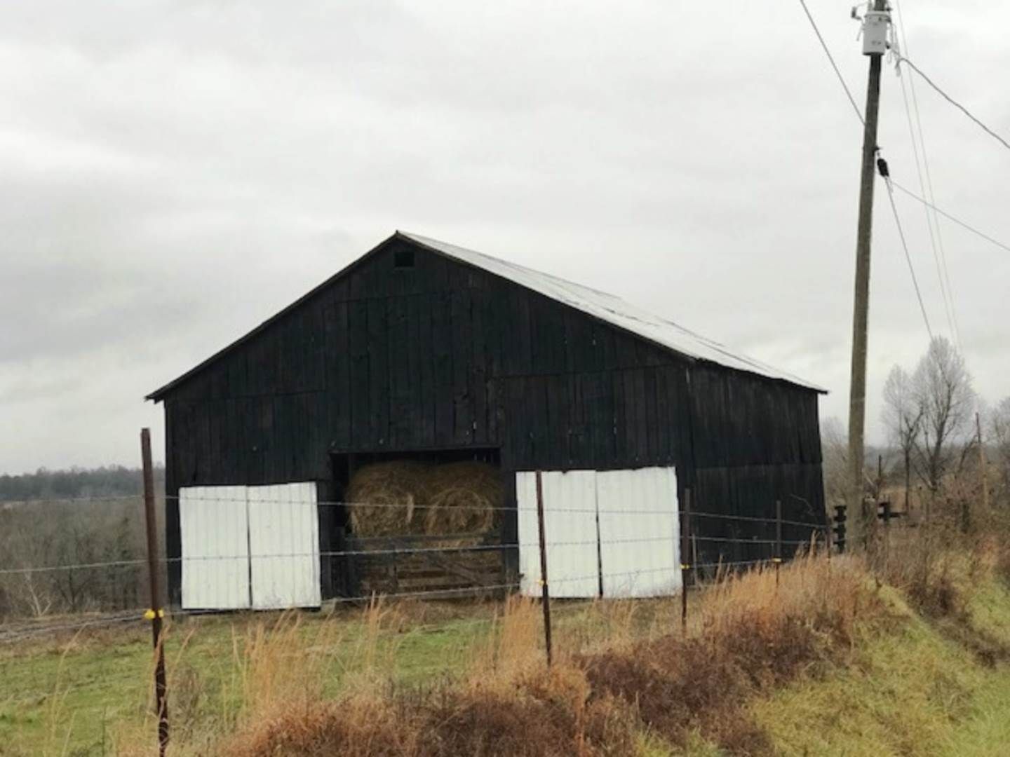 62.43 Acres, Road, Campbellsville, KY 42718 Land and Farm