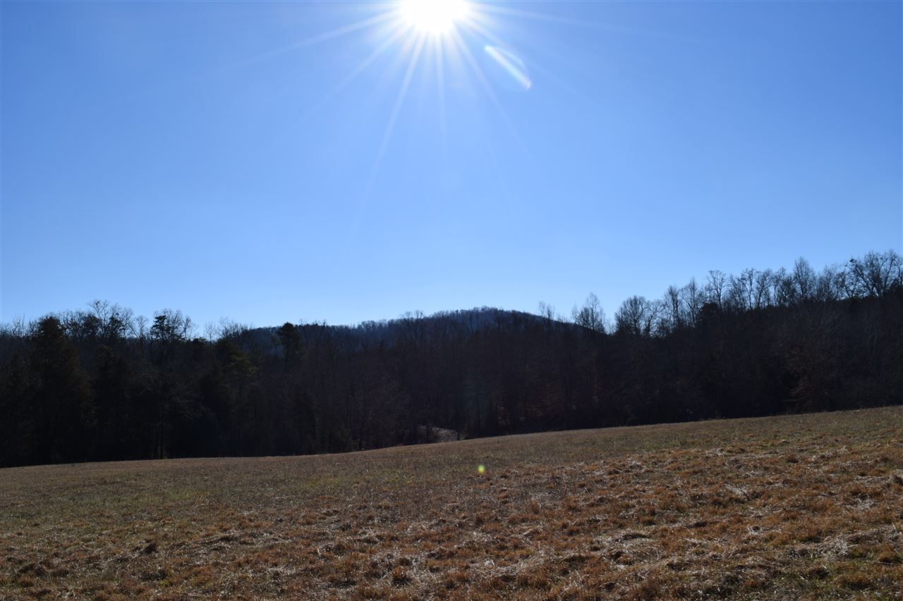 8.78 Acres, Tract 11 Summit Hill Rd, Bulls Gap, TN 37711 Land and Farm