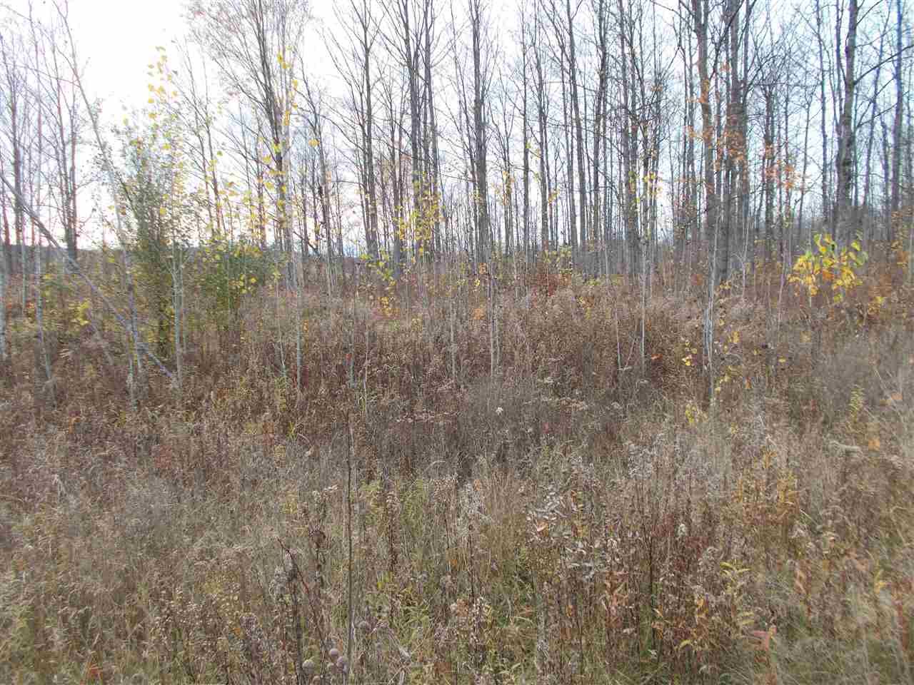 160 Acres, 160 Acres Camp Nine, Ralph, MI 49877 Land and Farm