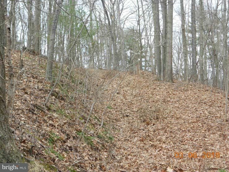 10.73 Acres, LINTON HILL ROAD, Duncannon, PA 17020 Land and Farm