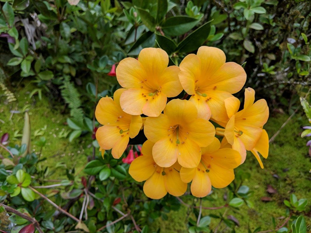 12.8 Acres, 5065 Mary STREET, Billings, MT 59105 Land and Farm