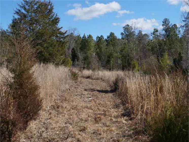 Wedaman Road, Pomaria, SC 29126 MLS 0004 Land and Farm