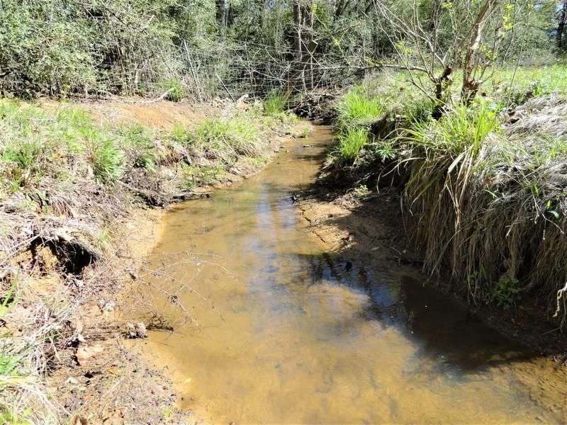 272 Acres, 9698 FM 3178, Centerville, TX 75833 Land and Farm