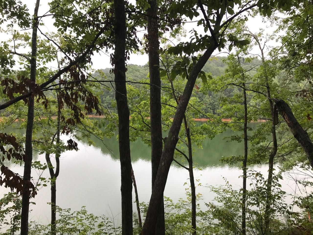 9.65 Acres, White Oak Place, Arley, AL 35541 Land and Farm