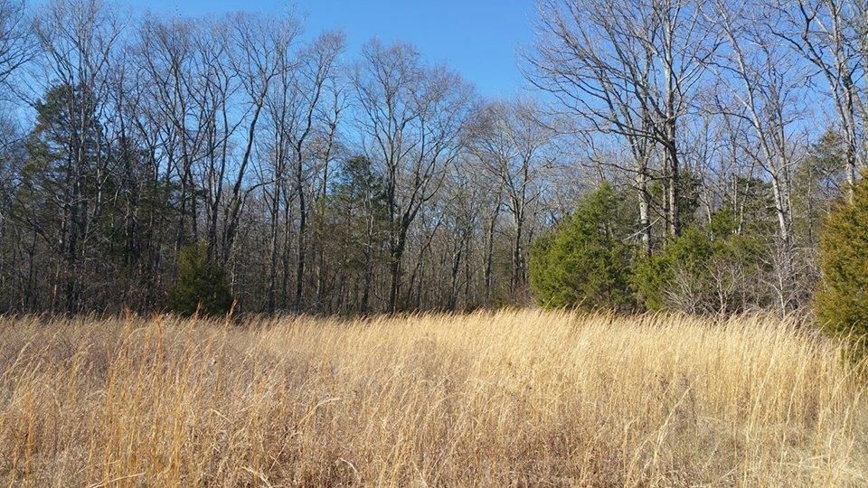 7 Acres, 5 Highway 41A, Eagleville, TN 37060 Land and Farm