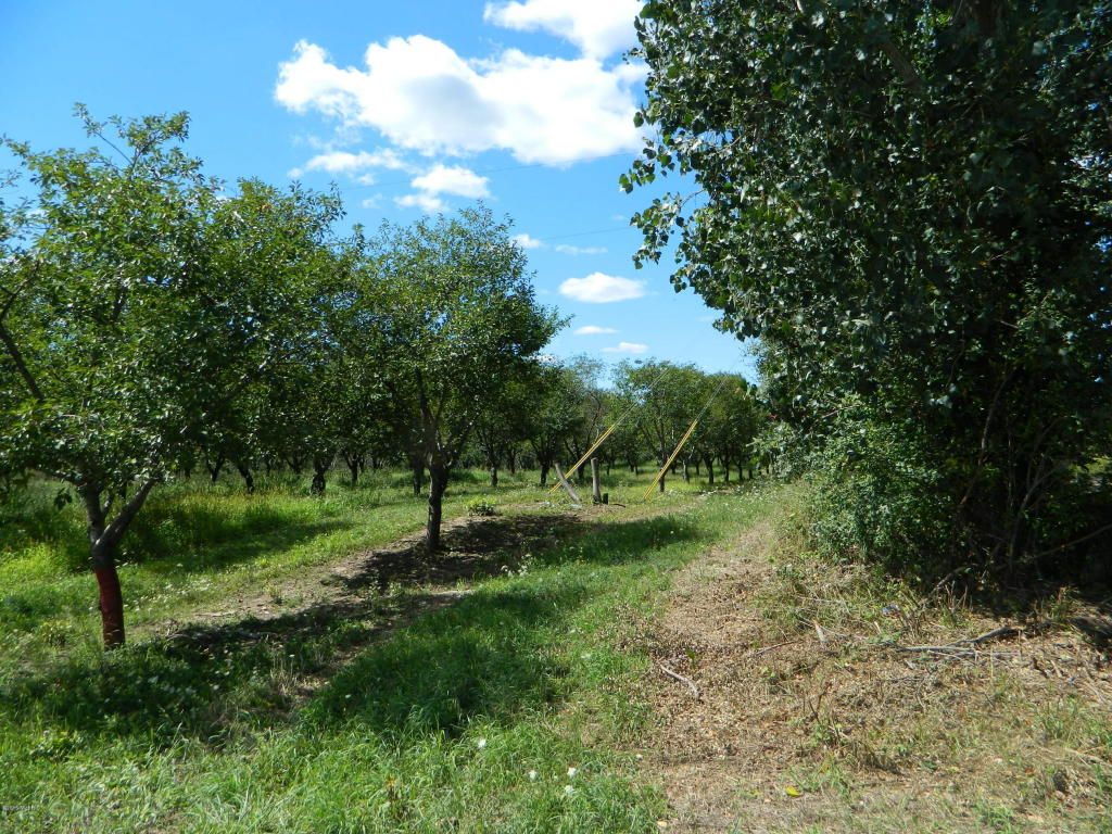 40 Acres, E clock, Walkerville, MI 49459 Land and Farm