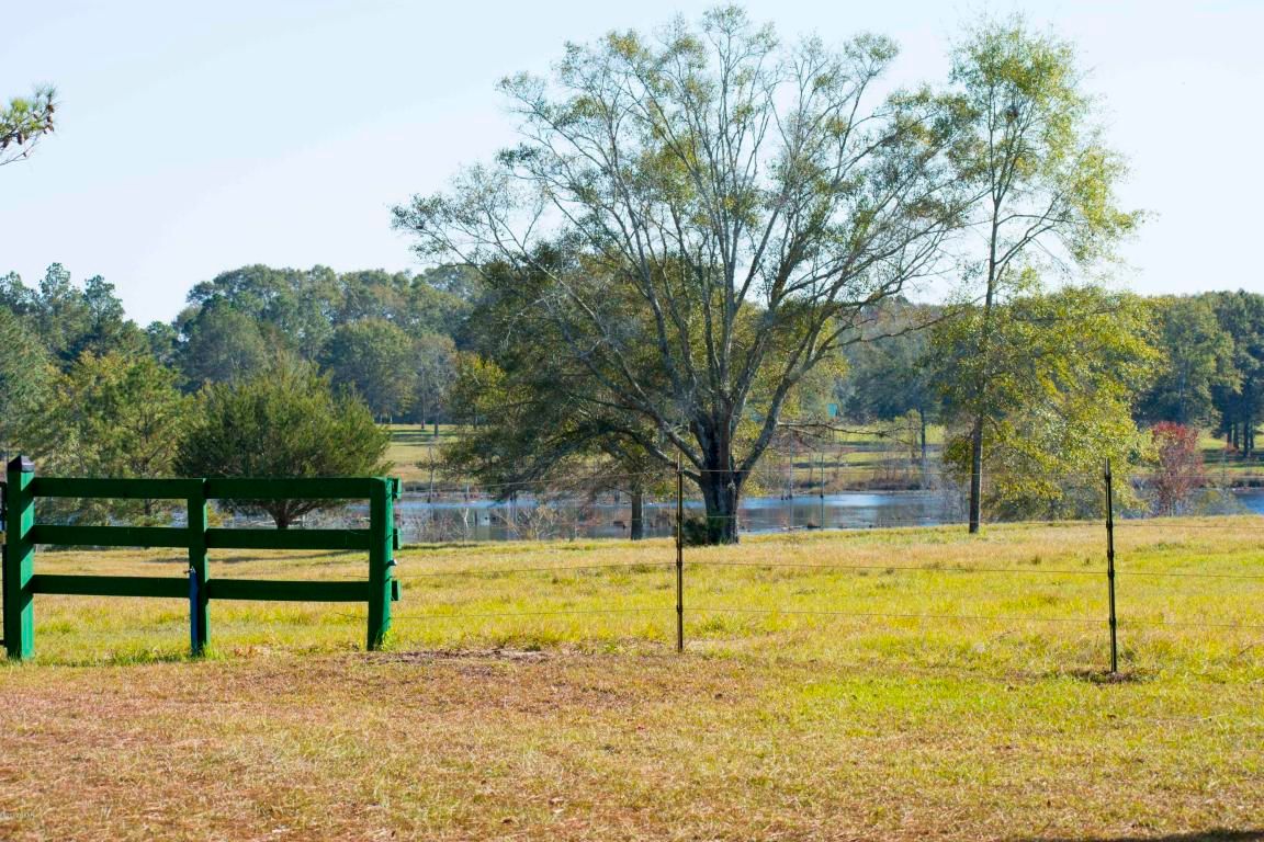 233 Acres, 3758 W J W STEPHENS Road, Graceville, FL 32440 Land and Farm