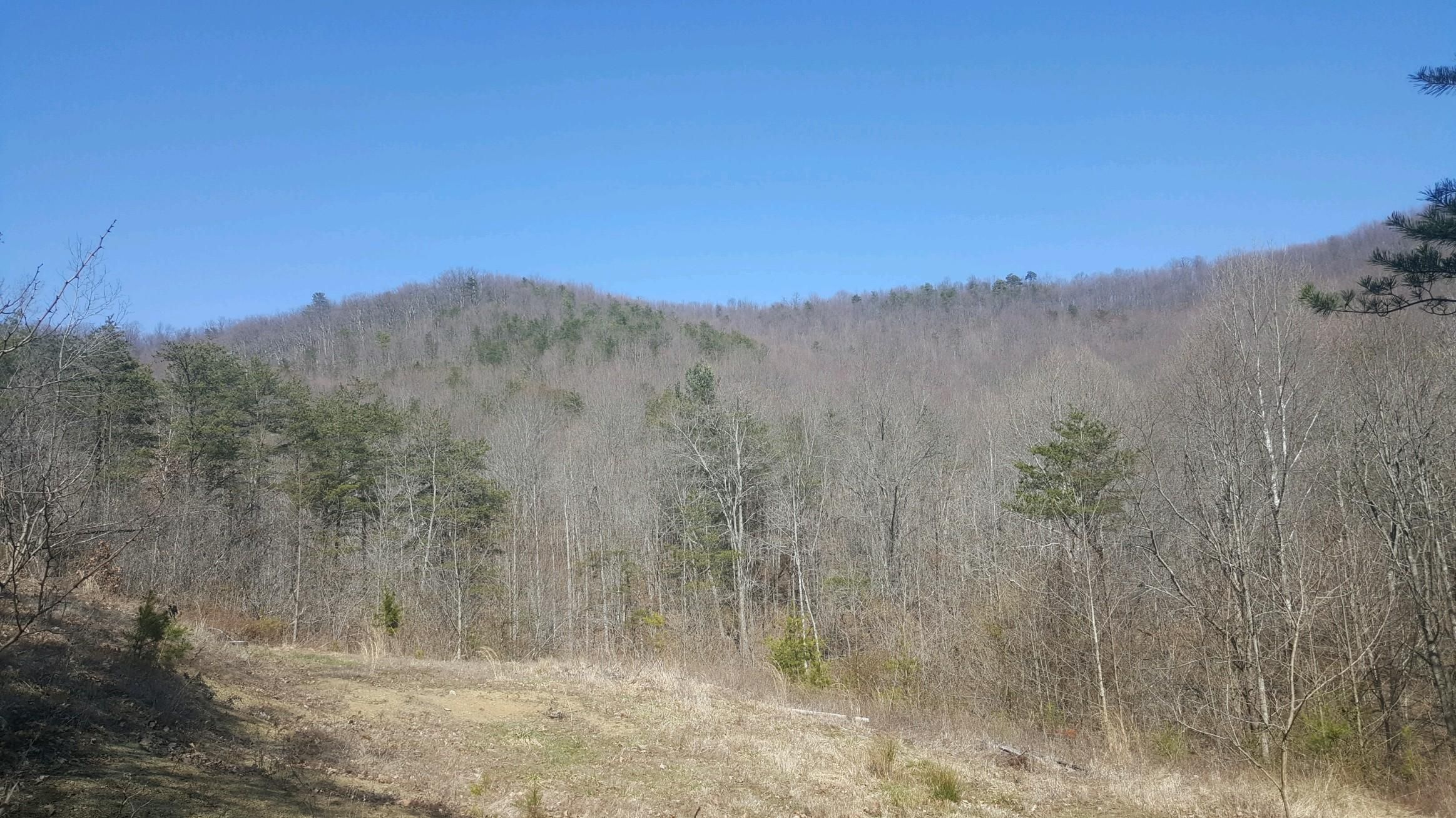 McDermott Pond Creek Rd, Mcdermott, OH 45652 Land and Farm