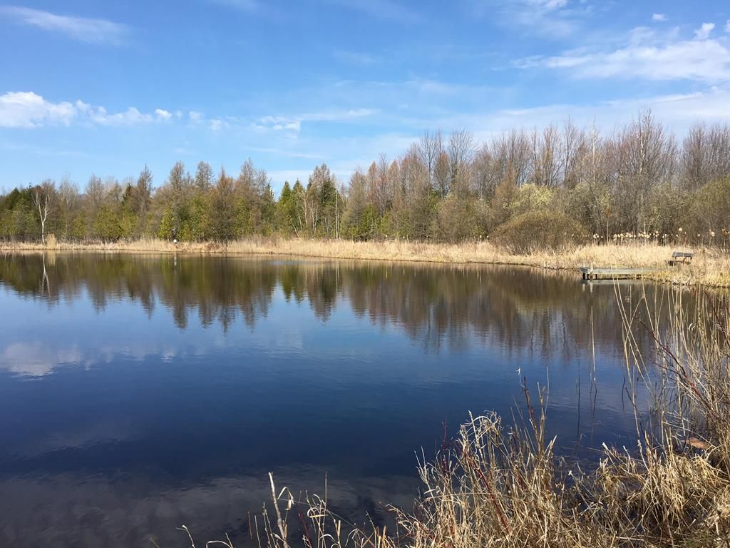 40 Acres, 2125 Grove Rd, Baileys Harbor, WI 54202 Land and Farm