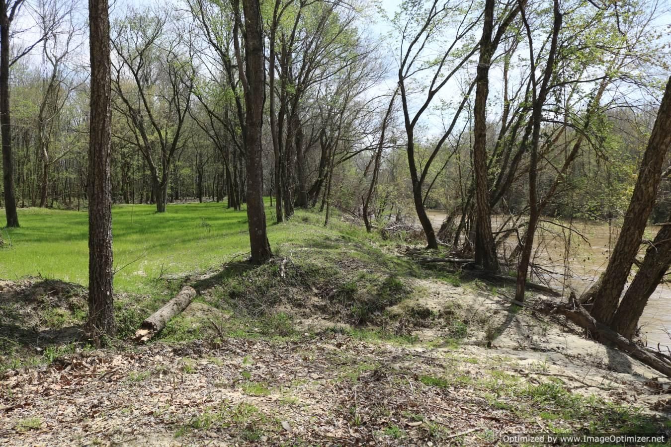 87 Acres, US51, Grenada, MS 38901 Land and Farm