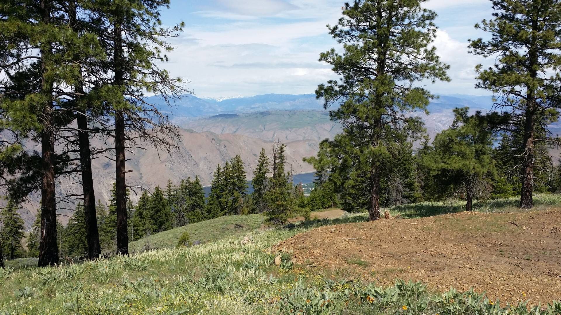 26.57 Acres, NNA Melvin Road, Tract 14, Waterville, WA 98858 Land and Farm