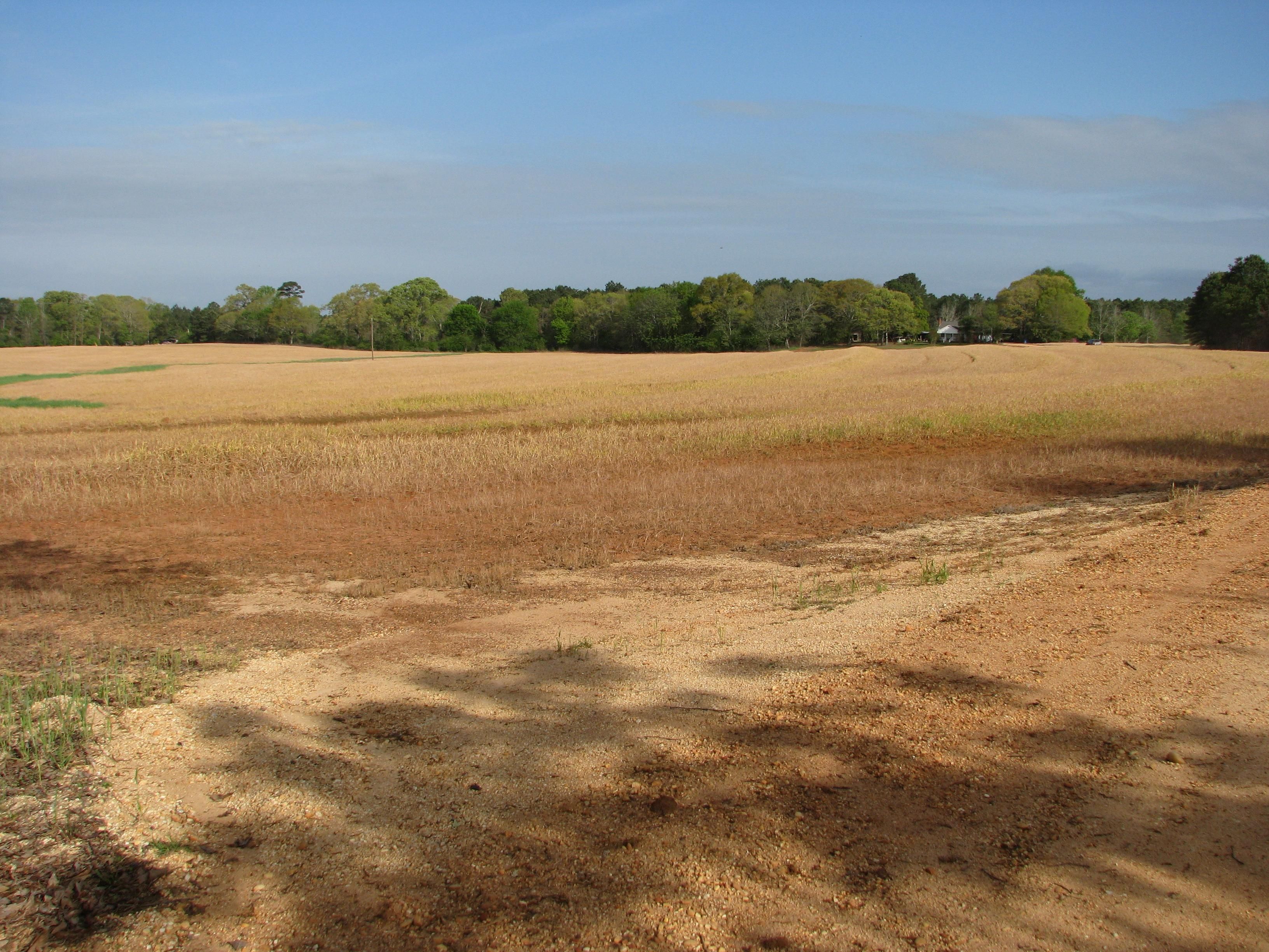 66 Acres, Monroeville, AL 36460 Land and Farm