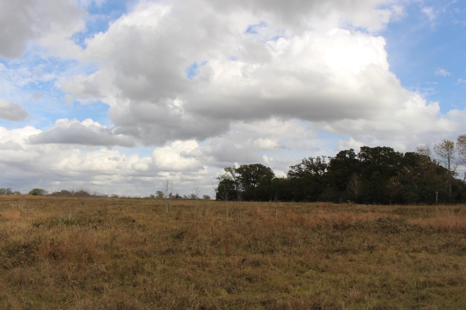 326 South Short Street, Madisonville, TX 77864 MLS 56615351 Land