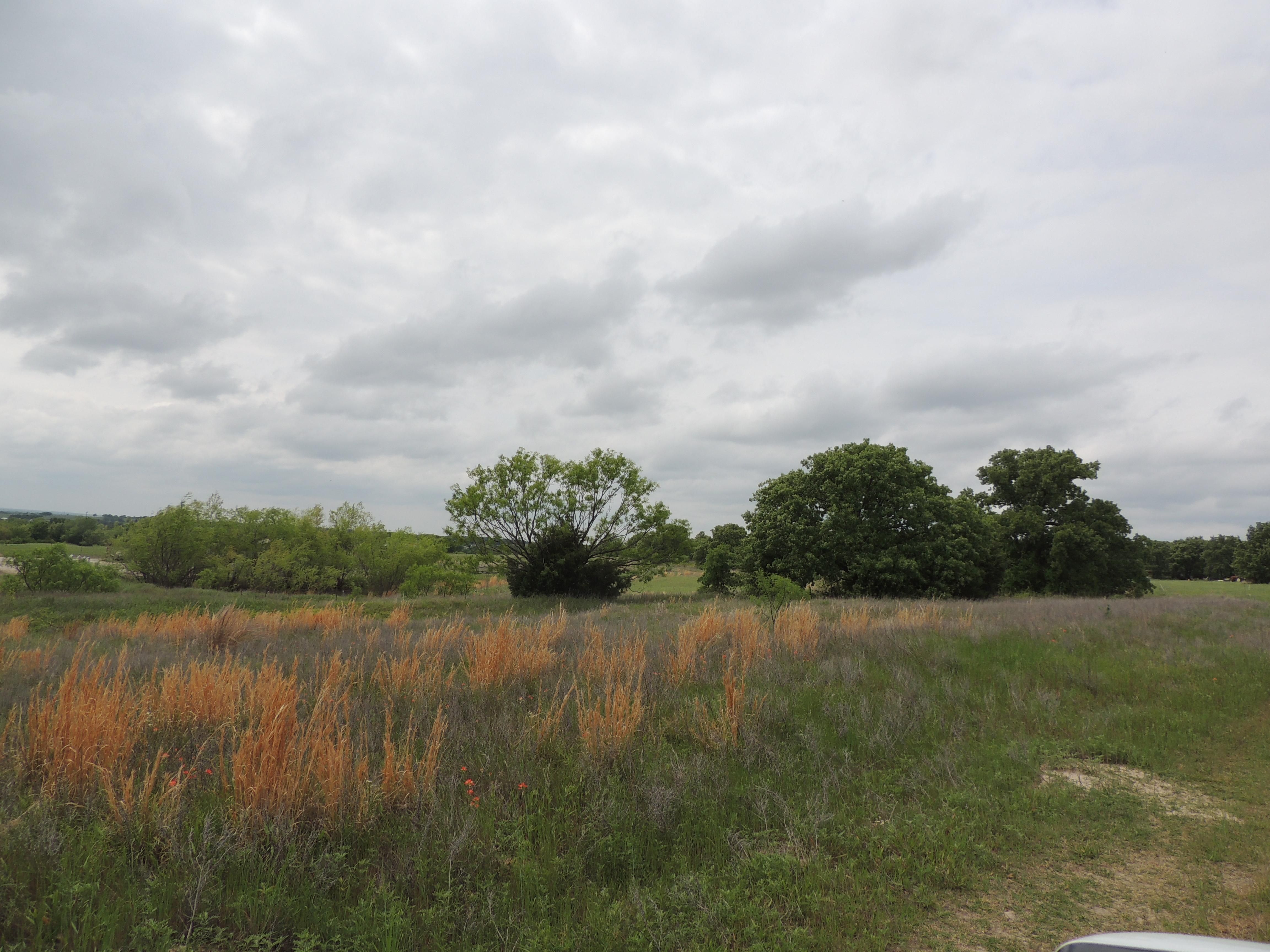 31.73 Acres, 200 PR 2691, Alvord, TX 76225 Land and Farm