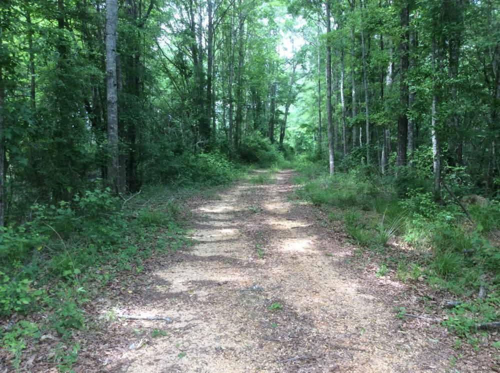 1,280 Acres, 0 Cedar Pine Road, Mize, MS 39116 Land and Farm