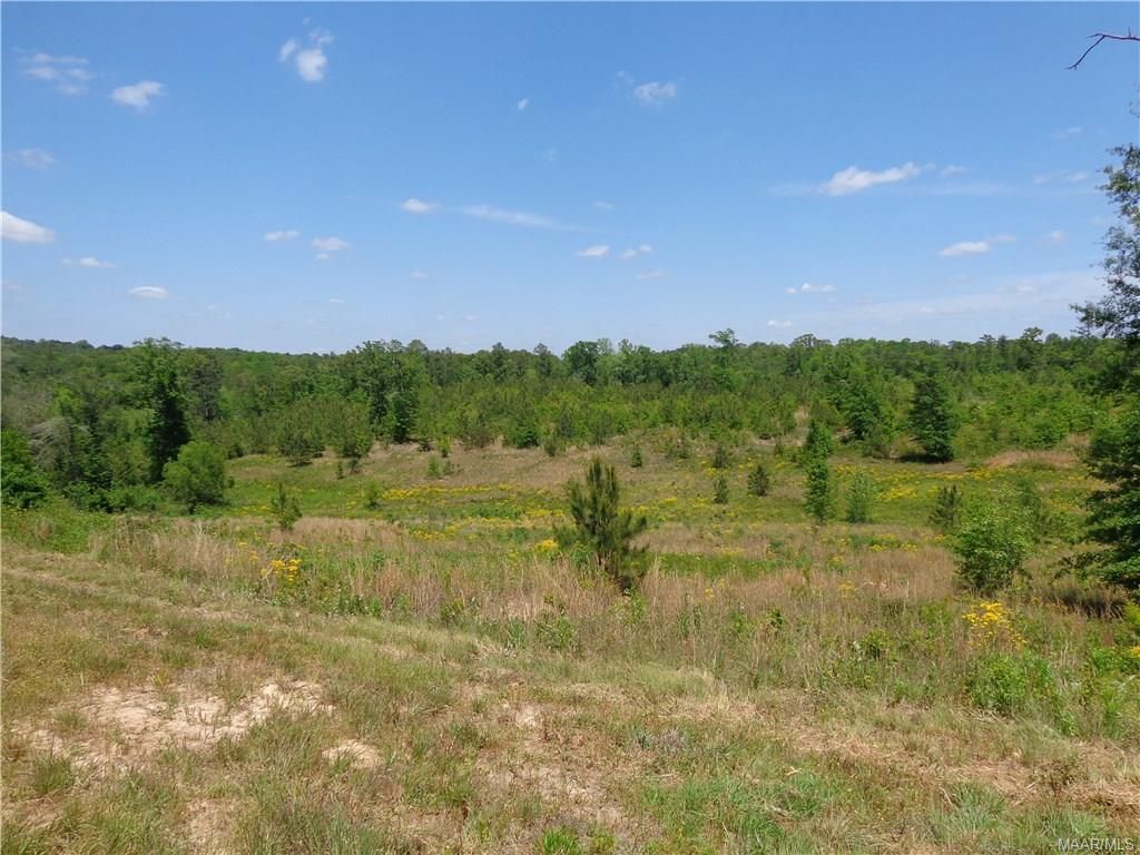 40 Acres, 1669 COUNTY ROAD 81 ., Prattville, AL 36067 Land and Farm