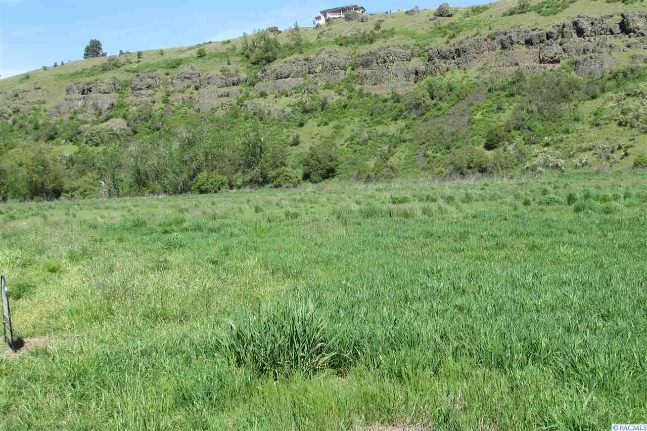 8 Acres, 20 Red Tail Ridge, Colfax, WA 99111 Land and Farm