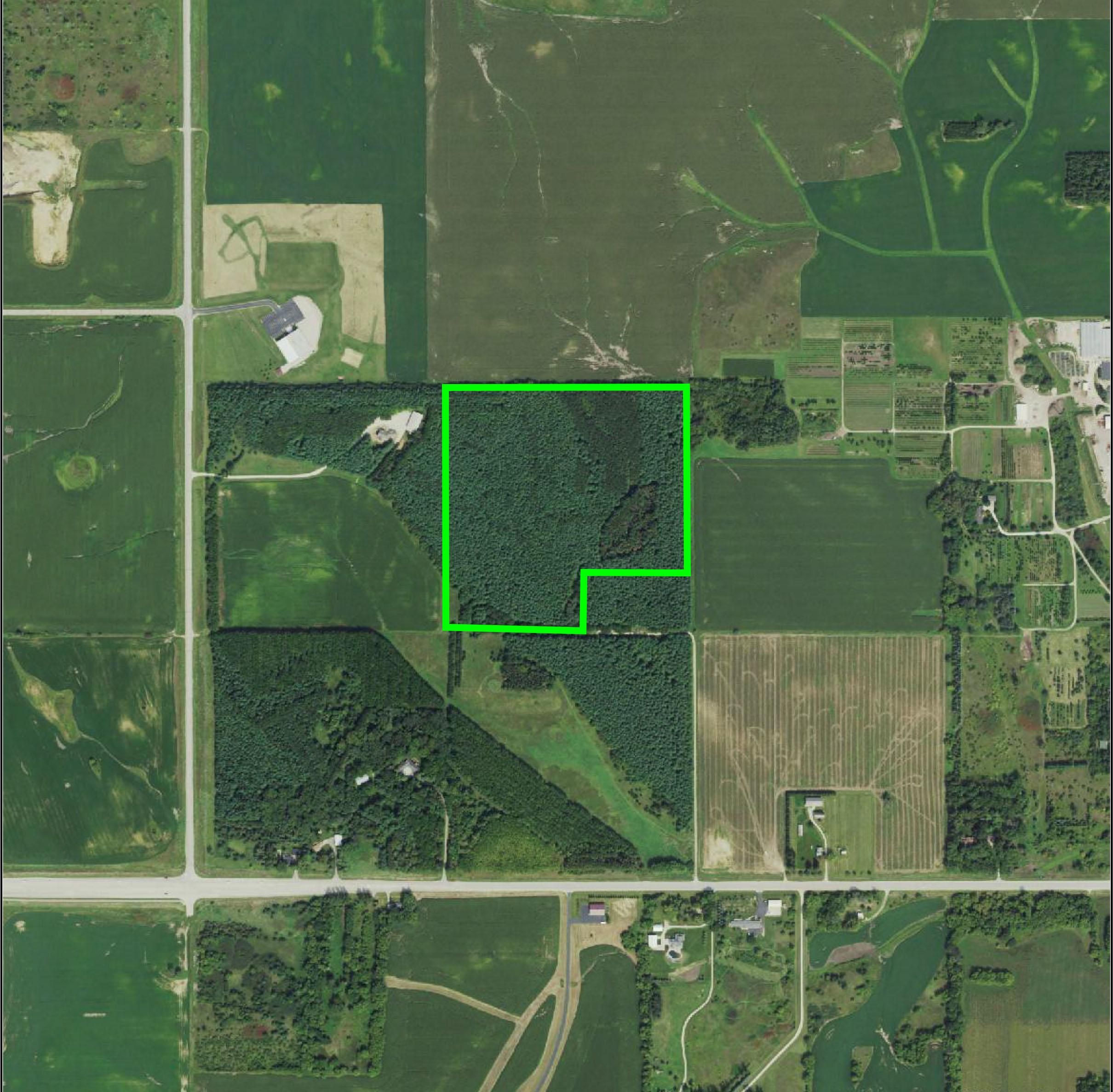 35 acres in Oronoco, MN, 55960 Land and Farm