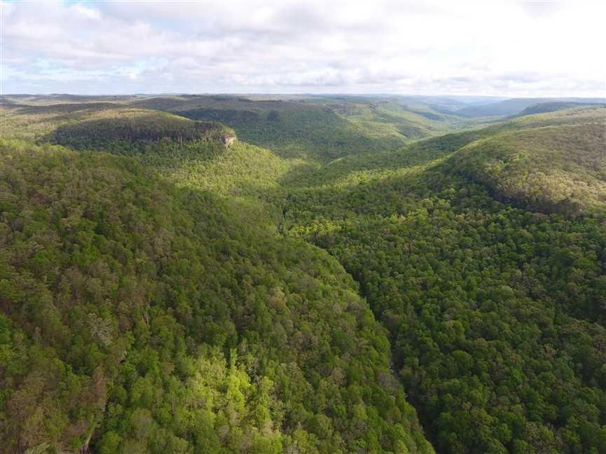 300 Acres, Ponca, AR 72742 Land and Farm