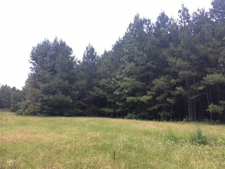 Pleasant Ridge Road, Chunky, MS 39323 Land and Farm