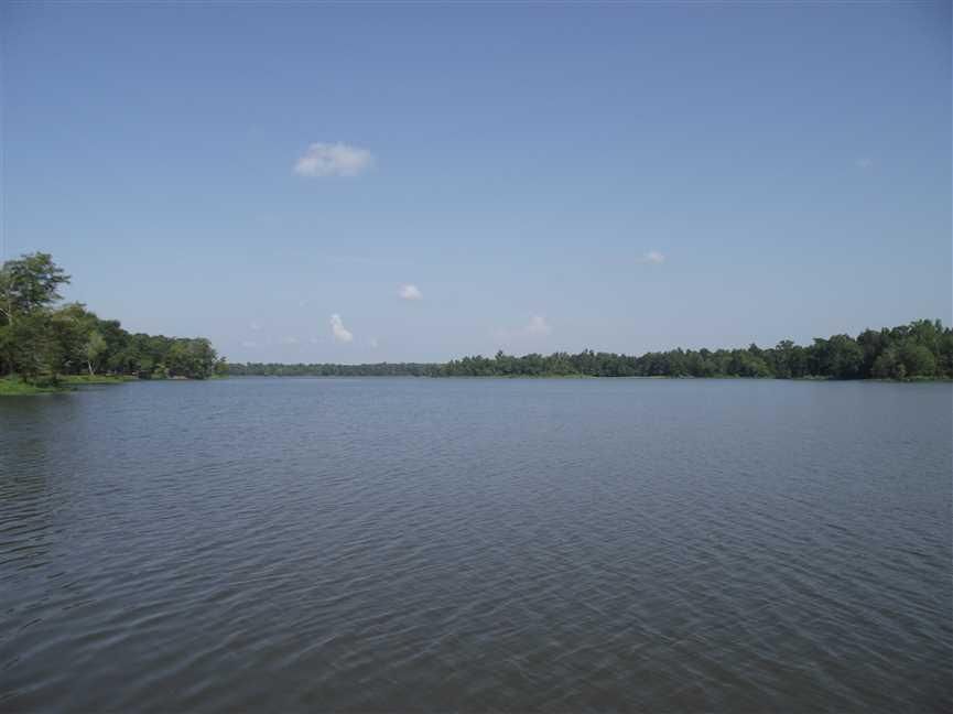 1 acres in Akron, AL, 35441 Land and Farm