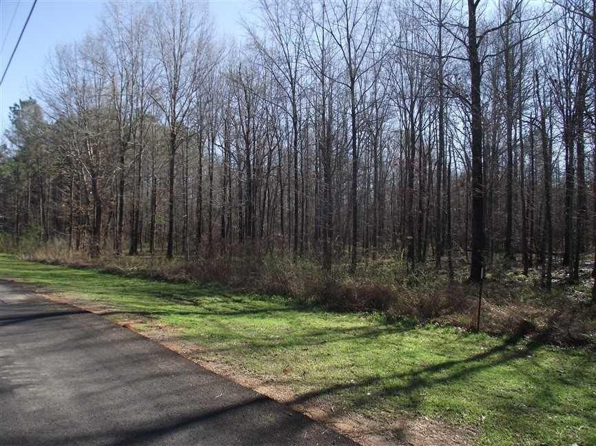 7 Acres, Akron, AL 35441 Land and Farm