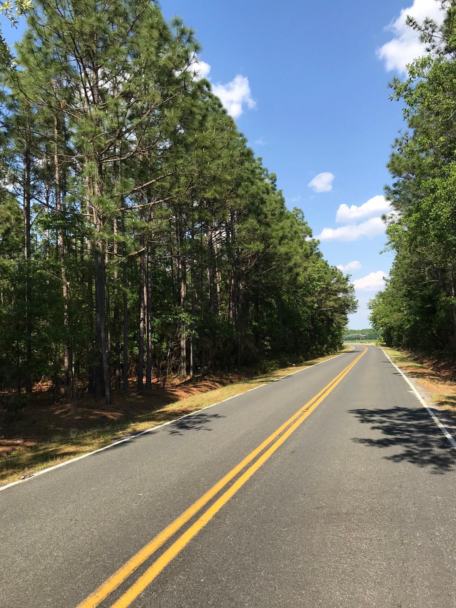 405 James Dunbar Road, Pelion, SC 29123 Land and Farm