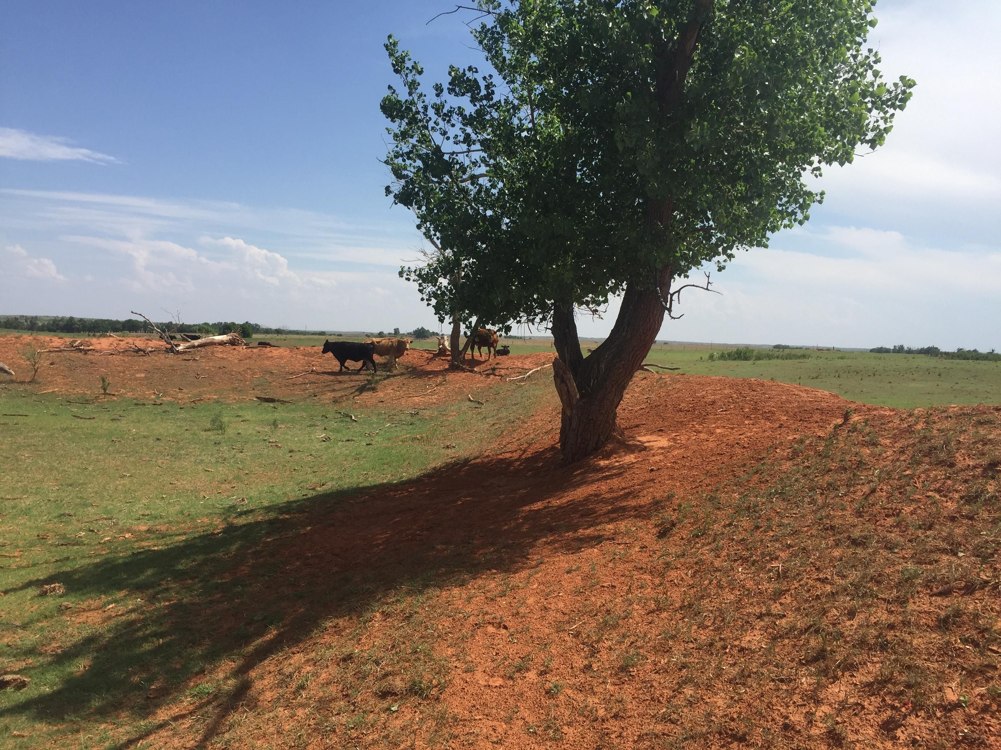 150 Acres, 16296 Interstate 40, Shamrock, TX 79079 Land and Farm