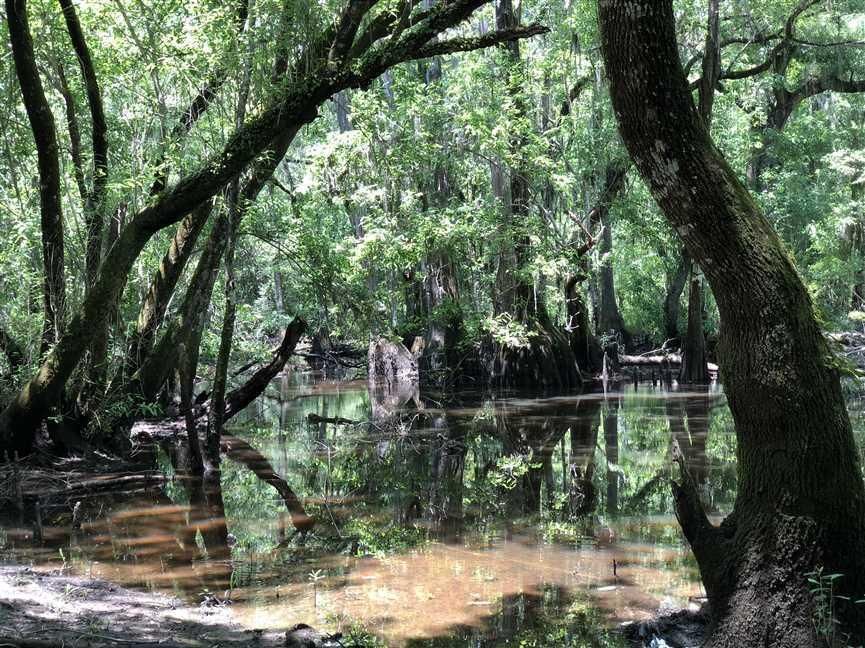 173 Acres, Tifton, GA 31794 Land and Farm