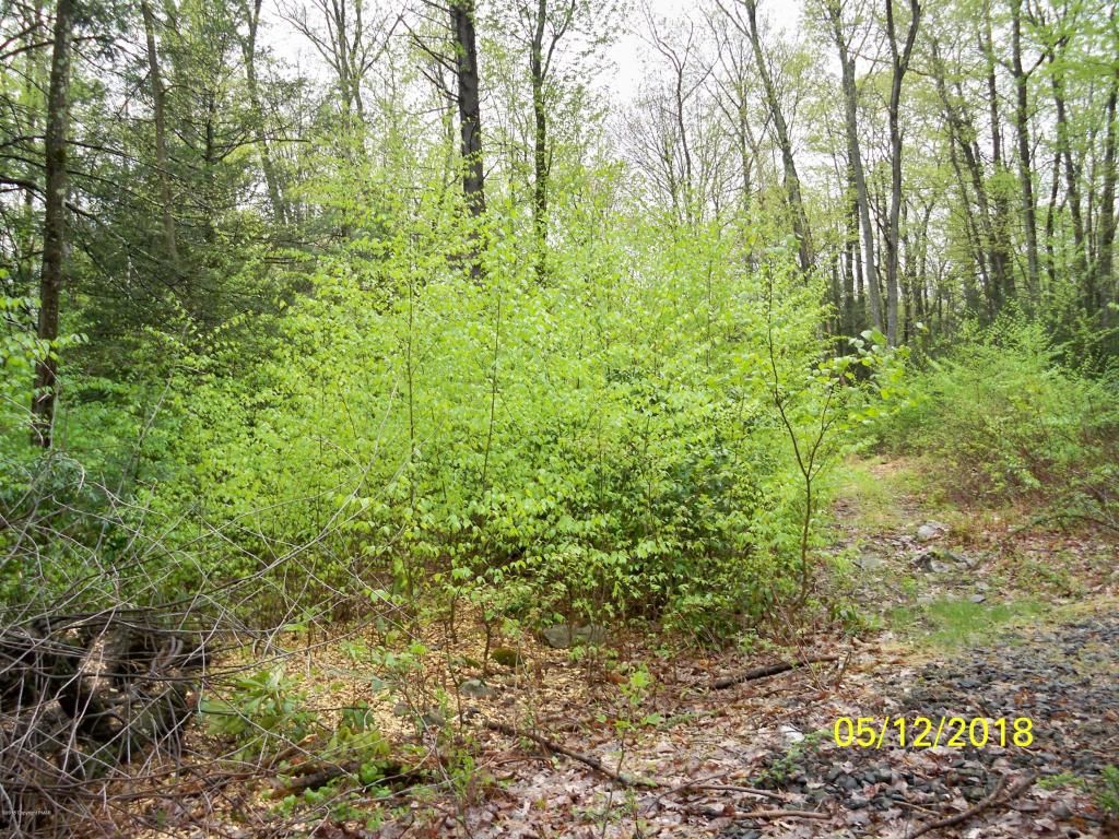 7.83 Acres, 45022 Mountain Road, Reeders, PA 18352 Land and Farm