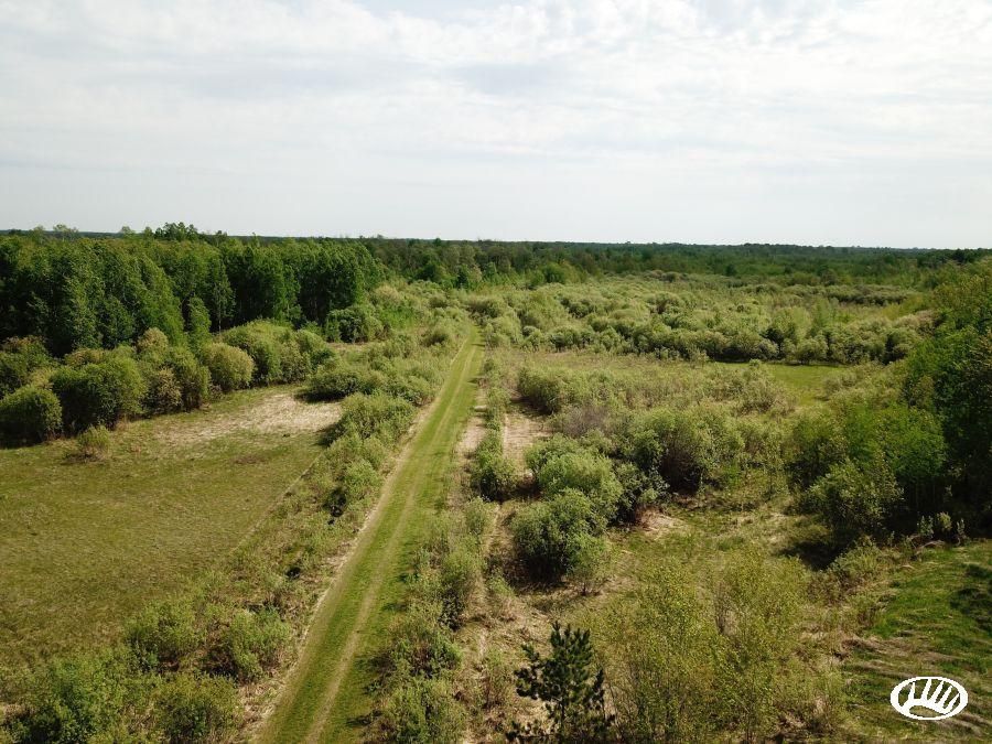 197.26 Acres, 58504 Korstad Road NW, Grygla, MN 56727 Land and Farm