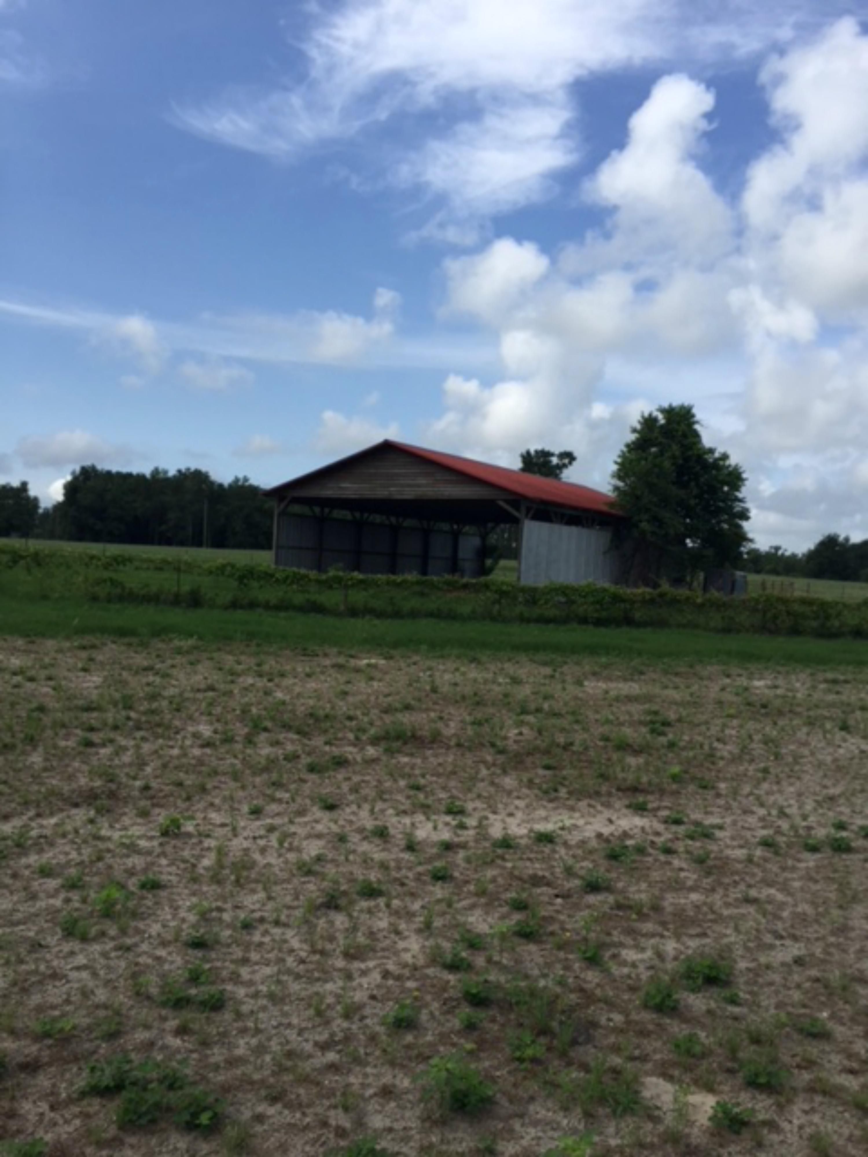 970 NE 100 ST, Branford, FL 32008 MLS 537198 Land and Farm