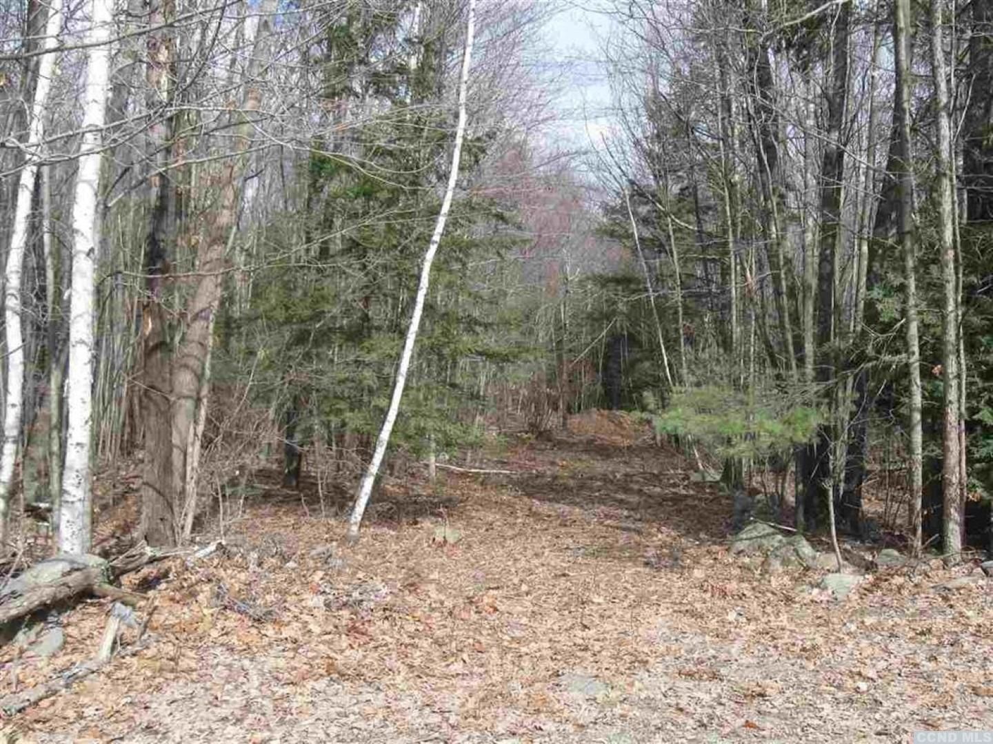 6.04 Acres, 0 302 Hanky Mull Road, Stephentown, NY 12062 Land and Farm